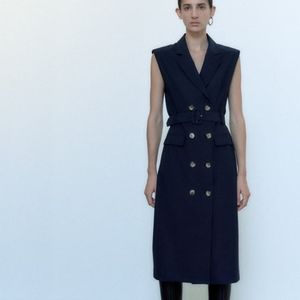 Zara  pinstripe trench dress